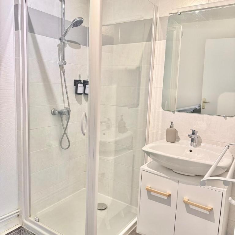 Le Topette, T2 au pied du palais des congrès et du jardin des plantes - One-Bedroom Apartment - 7