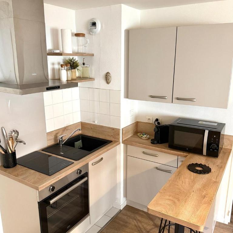 Le Topette, T2 au pied du palais des congrès et du jardin des plantes - One-Bedroom Apartment - 18