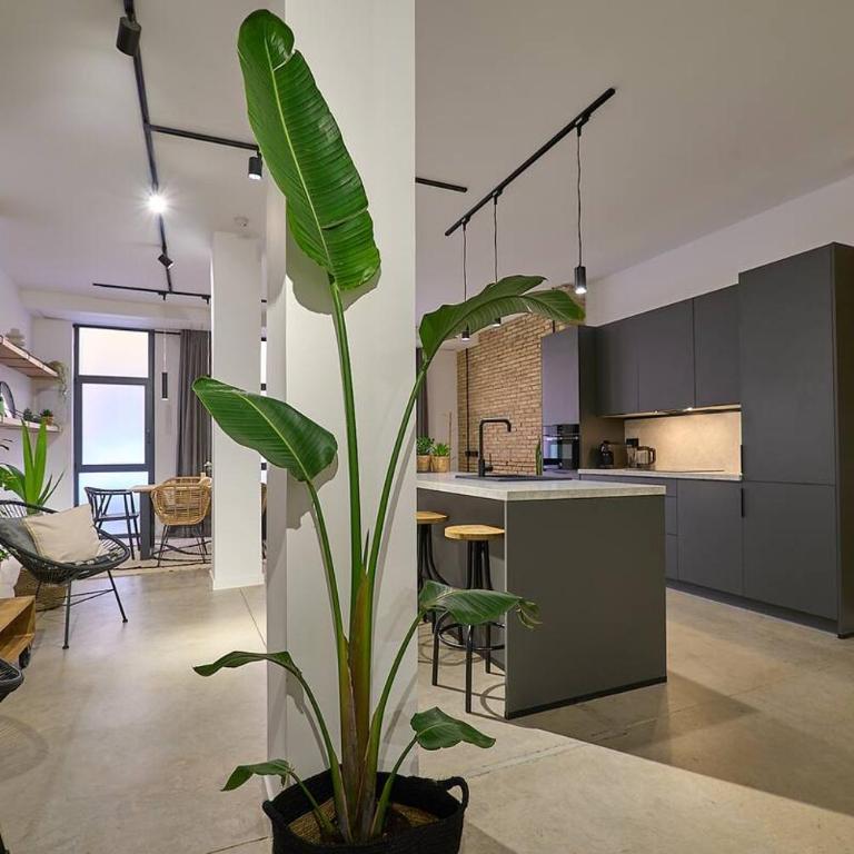 Hermoso Apartamento de 2 Habitaciones - Appartement Deluxe - 5
