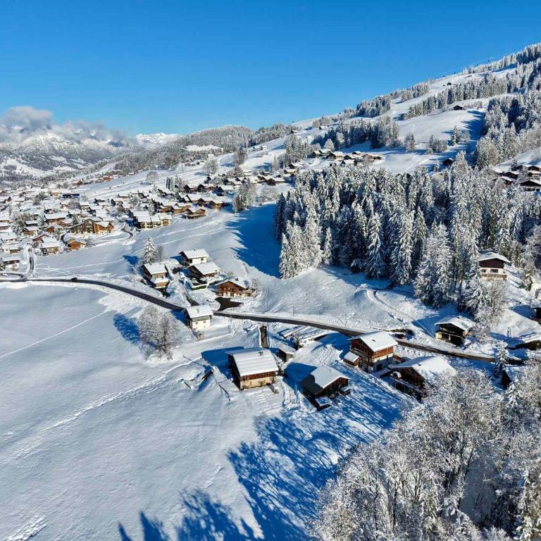 Studio vue montagne - 4 pers. - Studio - 12