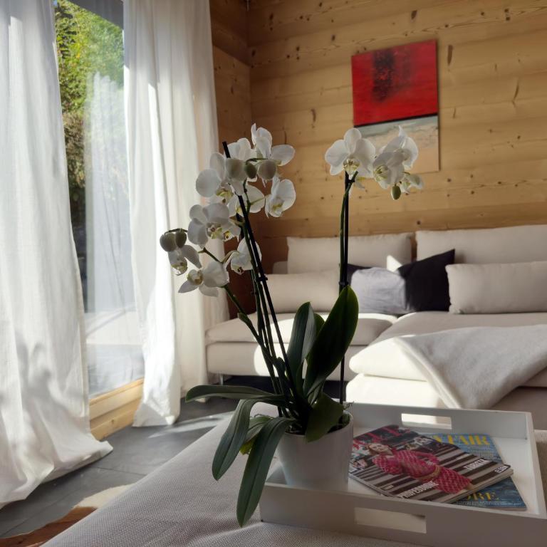 Le cocon des Alpes - au cœur du village de Leysin - Apartment mit 2 Schlafzimmern - 20