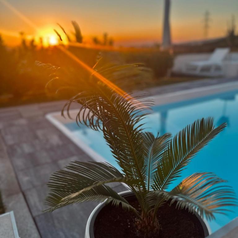 Villa Elmiso Sarajevo - Vila sa 2 Spavaće Sobe - 31