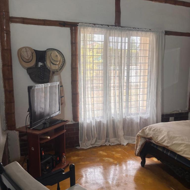 casa bambuza - Four-Bedroom House - 19
