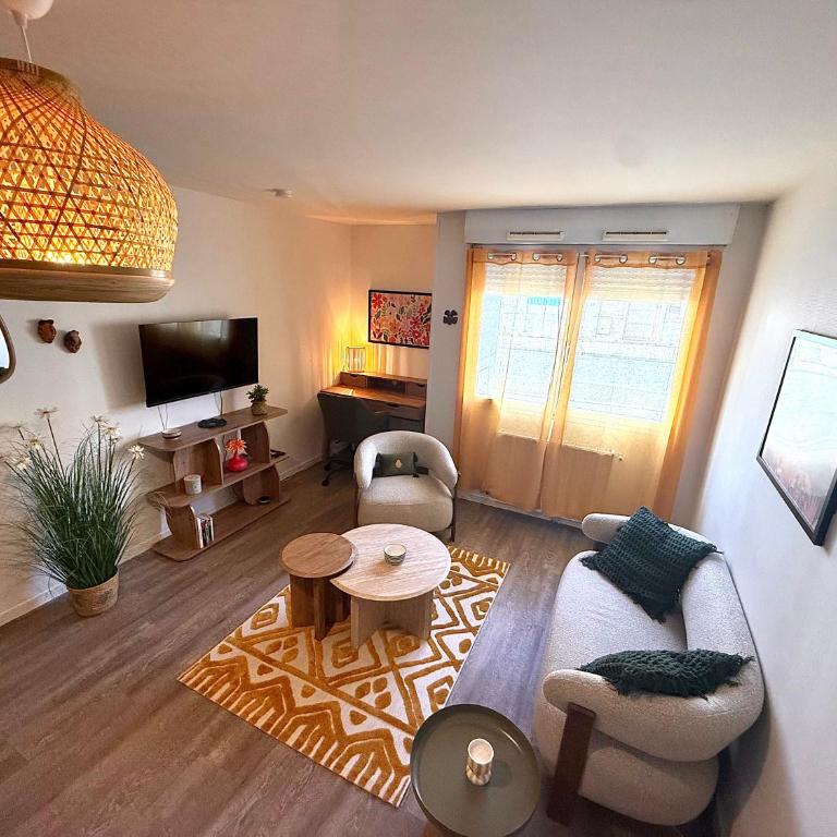 Le Topette, T2 au pied du palais des congrès et du jardin des plantes - One-Bedroom Apartment - 12