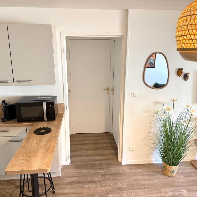 Le Topette, T2 au pied du palais des congrès et du jardin des plantes - One-Bedroom Apartment - 17