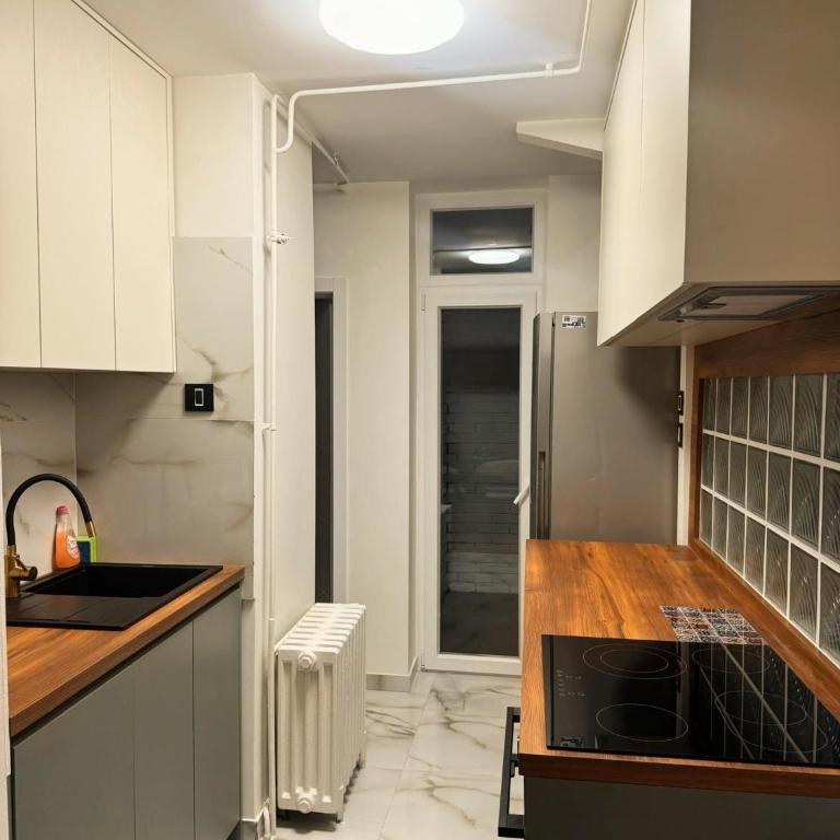 SAVA CENTAR, ARENA, LUX apartment LADA - Appartement 2 Chambres - 12