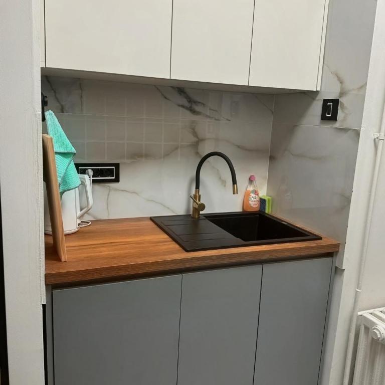SAVA CENTAR, ARENA, LUX apartment LADA - Appartement 2 Chambres - 14