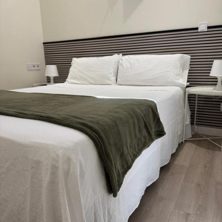 HABITACION CENTRAL CON WIFI - Habitación con cama grande - 1