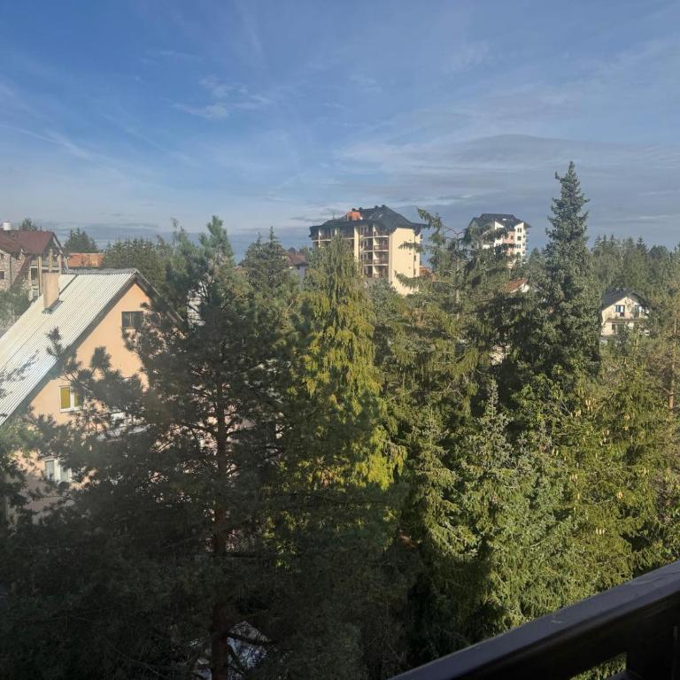 Mirni Kutak Zlatibor - One-Bedroom Apartment - 4