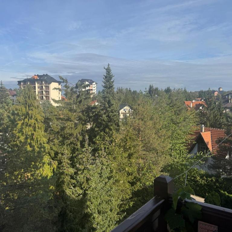 Mirni Kutak Zlatibor - One-Bedroom Apartment - 23