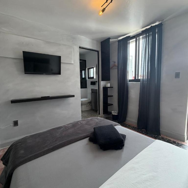 Casa Labardini Petite Suite Colonial 07 - Appartement 1 Chambre - 3