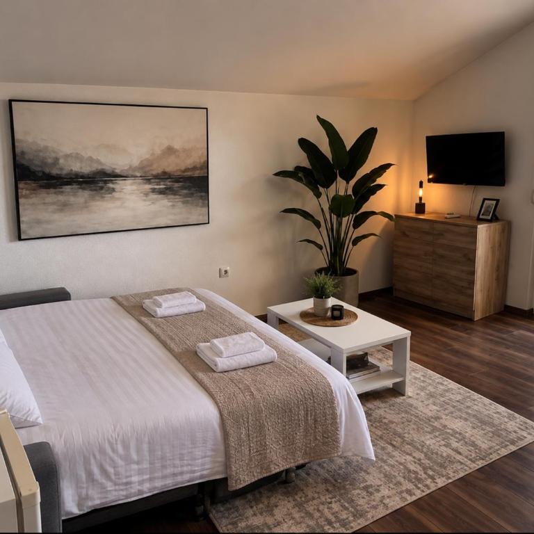 Apartman Panorama Trebinje - Apartman sa 1 Spavaćom Sobom - 12