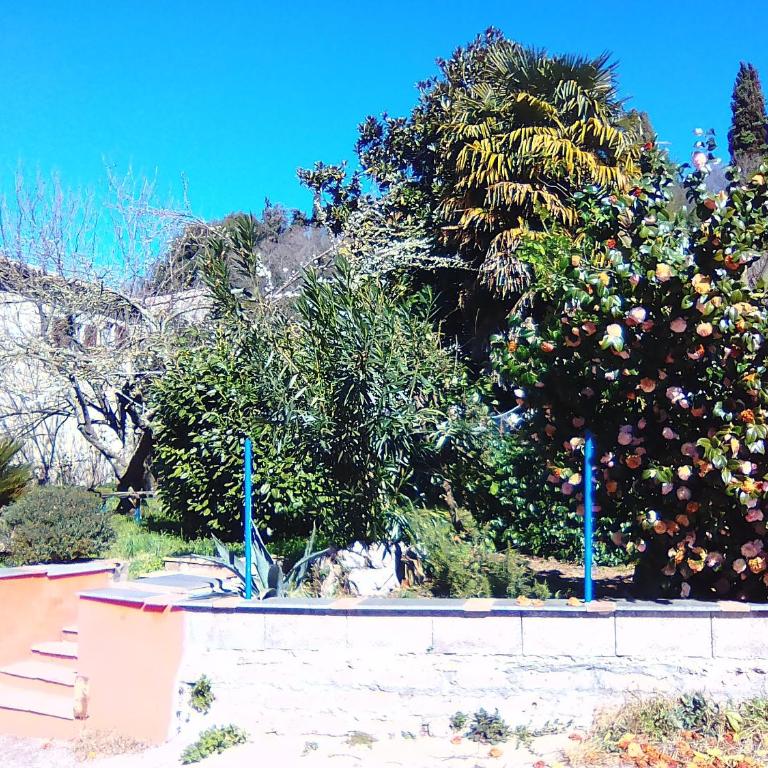 Casa Beatrice - Appartamento - 17