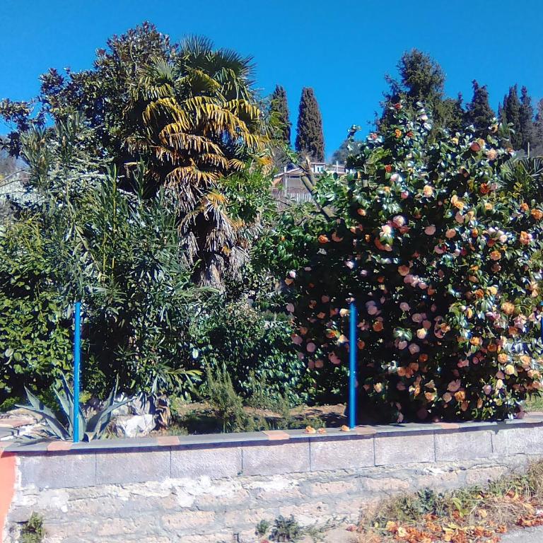 Casa Beatrice - Appartamento - 16