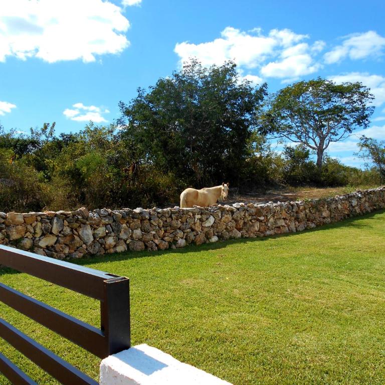Casas Luna y Sol - Casa Sol - Vacation Home - 19