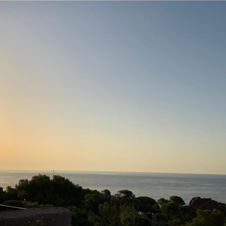 Paradis bleu - Appartement 1 Chambre - 29