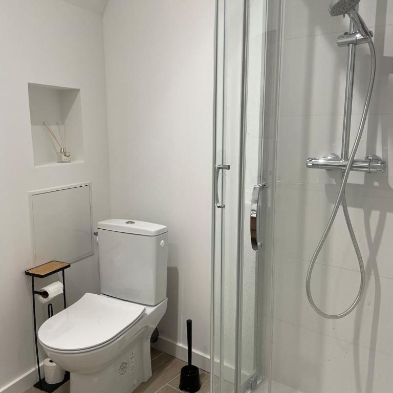 Studio cosy - center - Montauban - WIFI - Appartement 1 Chambre - 8