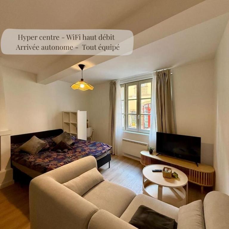 Studio cosy - center - Montauban - WIFI - Appartement 1 Chambre - 14