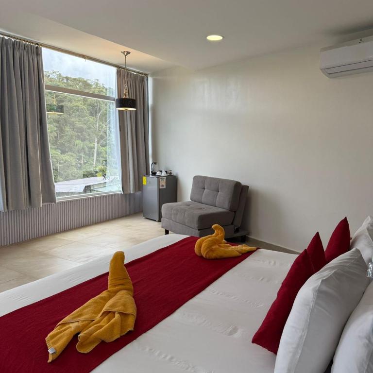Ecopark - Suite con bañera de hidromasaje - Cama extragrande - 4