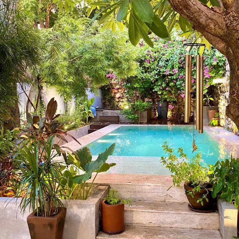 Casa Sacnité Tropical Oasis in Santa Ana - Casa de 2 dormitorios - 1