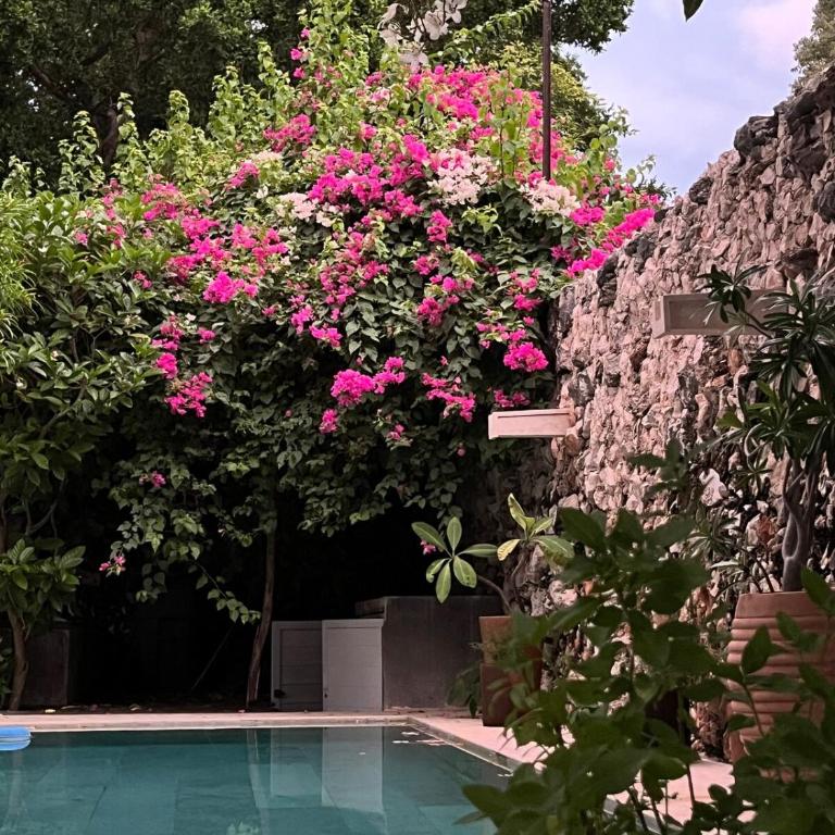 Casa Sacnité Tropical Oasis in Santa Ana - Casa de 2 dormitorios - 19