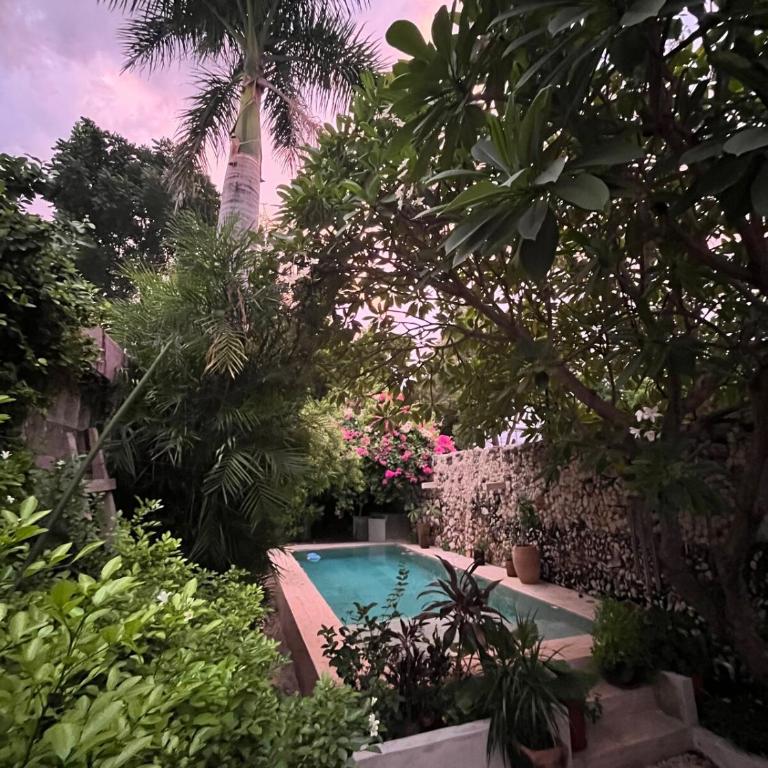 Casa Sacnité Tropical Oasis in Santa Ana - Casa de 2 dormitorios - 21