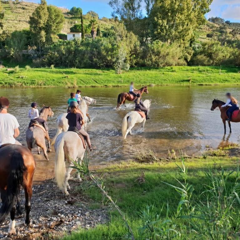 Countryside Escape Just Minutes from the Coast - Casa de 2 dormitorios - 6