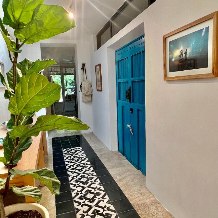 Casa Sacnité Tropical Oasis in Santa Ana - Casa de 2 dormitorios - 4