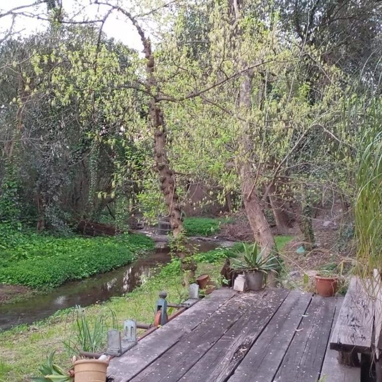La casa del arroyo - One-Bedroom House - 10