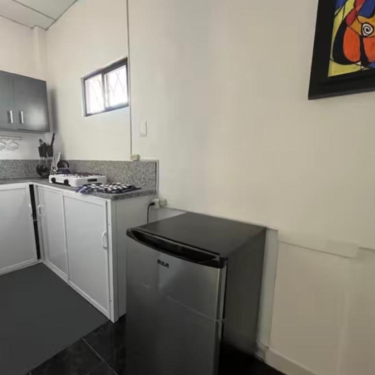 Departamento cerca de Consulado Americano - Apartamento - 6