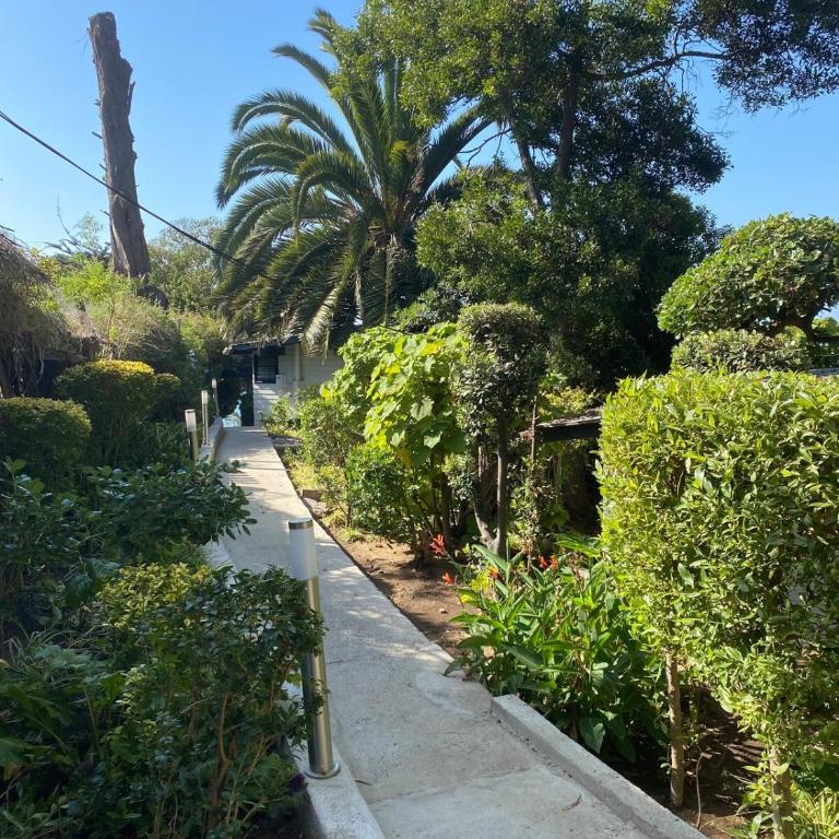 Hermosa cabaña con gran vista y acceso a la playa - Apartamento de 1 dormitorio - 28