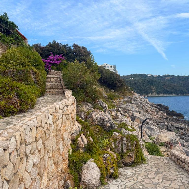 Sveti Luka Seaview Apartment - Apartman sa 1 Spavaćom Sobom - 3