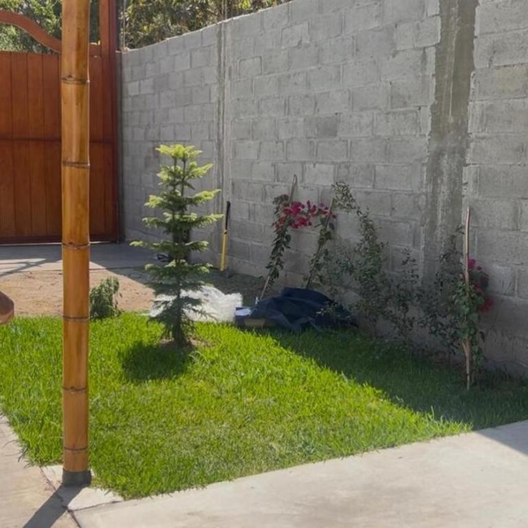 Finca Don Victor - Villa - 12