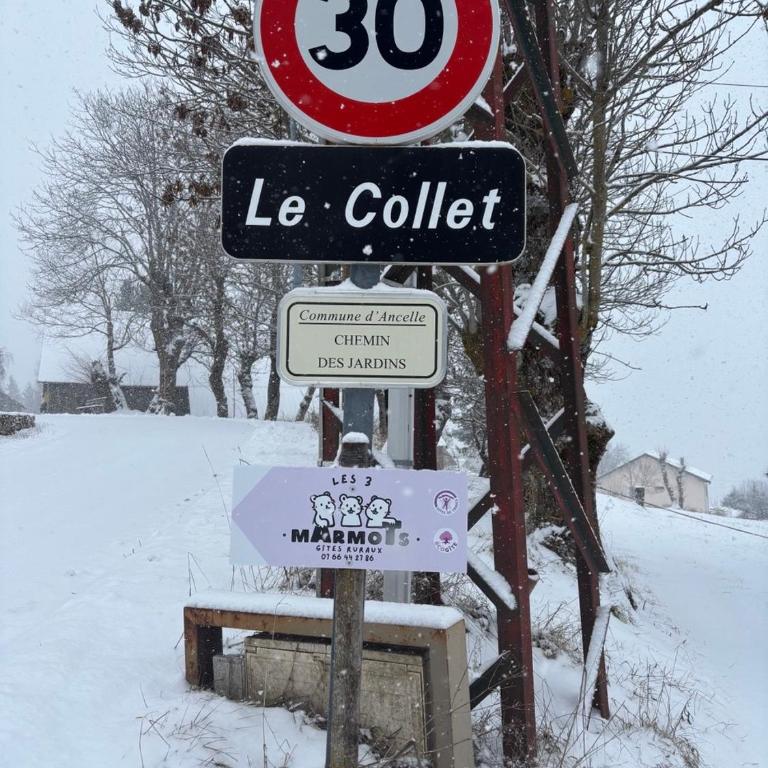 Les 3 Marmots 3 hebergements de 2 personnes a 8 personnes - Maison 1 Chambre - 22