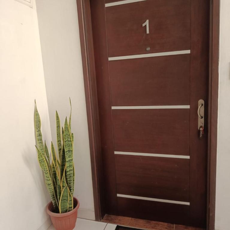 Las palmas - Apartamento de 1 dormitorio - 3
