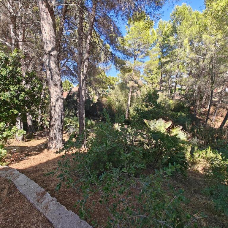 Casa Bolets - A quiet forest house near the best beaches in South Catalonia - Casa de 5 dormitorios - 14