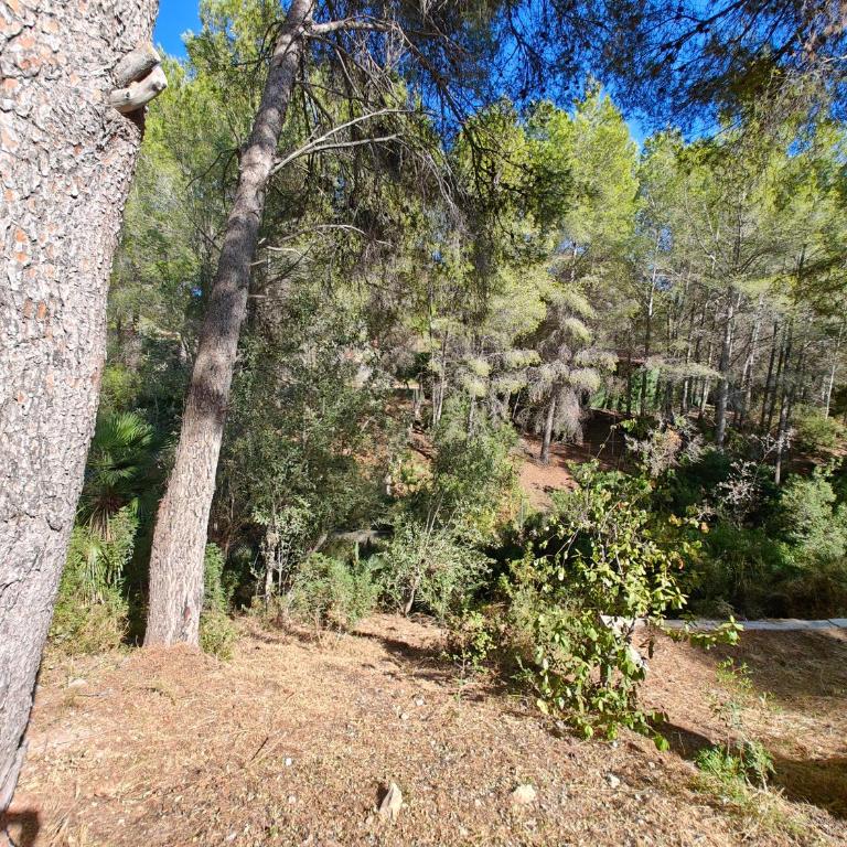 Casa Bolets - A quiet forest house near the best beaches in South Catalonia - Casa de 5 dormitorios - 12