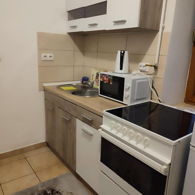 Marijin Dvor Residence - Apartman sa 1 Spavaćom Sobom - 9