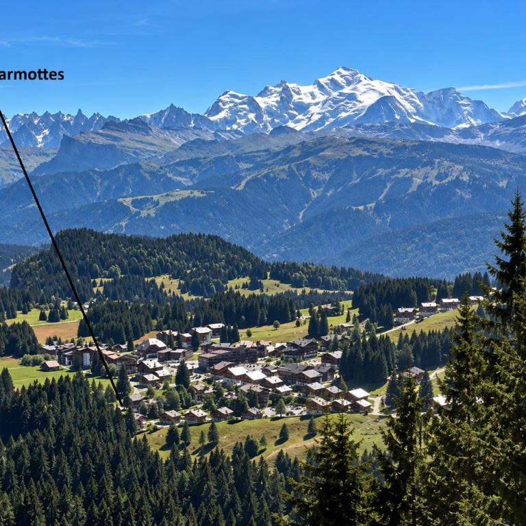 Les 3 Marmottes - Praz de Lys - Appartement 3 Chambres avec Vue sur la Montagne - 4