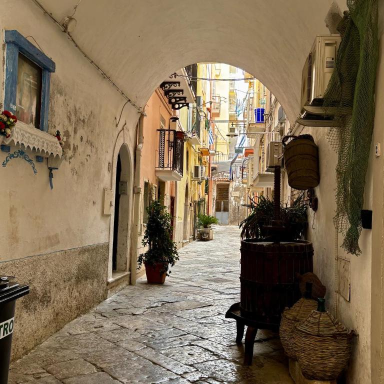 La viaggiatrice - Appartamento con 1 Camera da Letto - 14