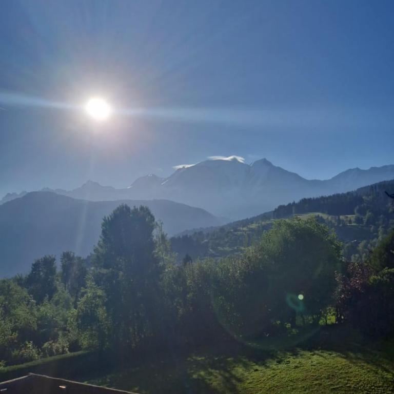 with terrace and Mont-Blan c view - Maison de Vacances - 1