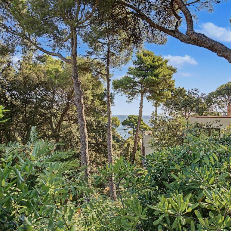 Casa Cala Esclanyà - Casa de 4 dormitorios - 32