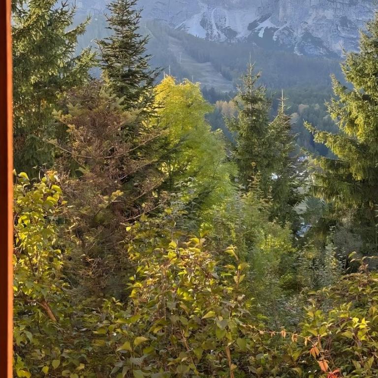 Apartment In The Center Of Cortina - Appartamento con Vista Montagna - 17