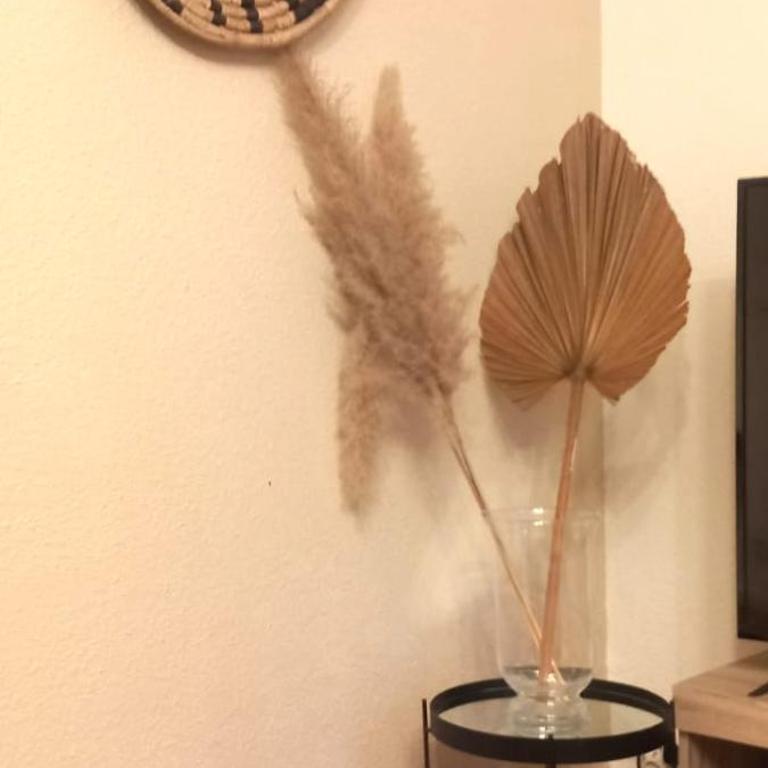 Le Trente Six - Appartement 2 Chambres - 17