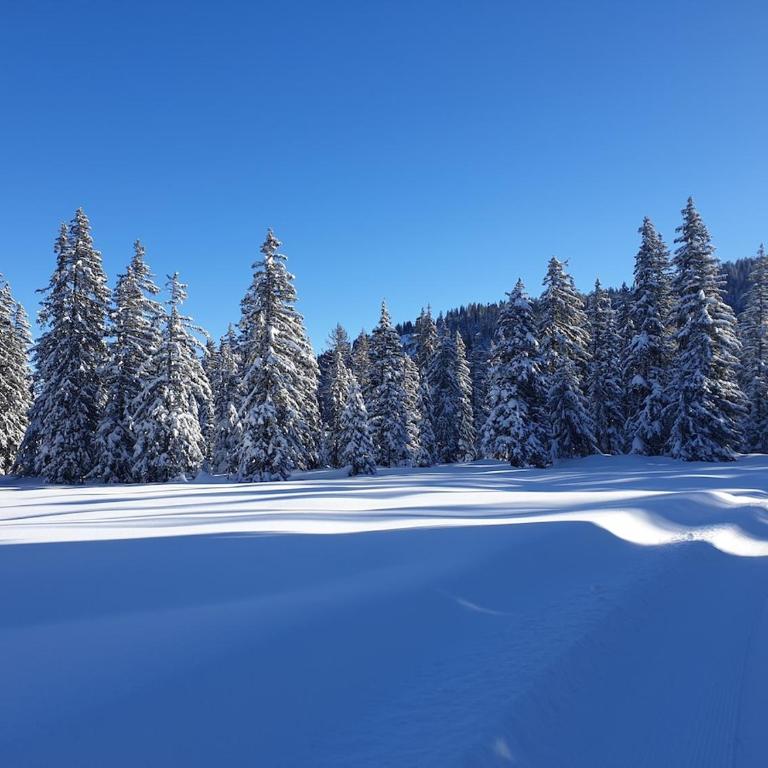Les Saisies, 4 people, close to skiing and shops - Maison 3 Chambres - 8