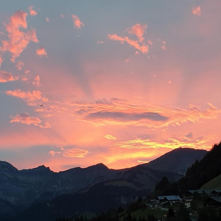 Les Saisies, 4 people, close to skiing and shops - Maison 3 Chambres - 13