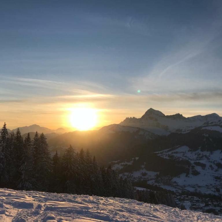 Les Saisies, 4 people, close to skiing and shops - Maison 3 Chambres - 20