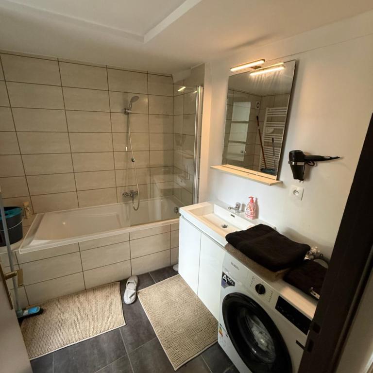 La colombe - Appartement 1 Chambre - 3