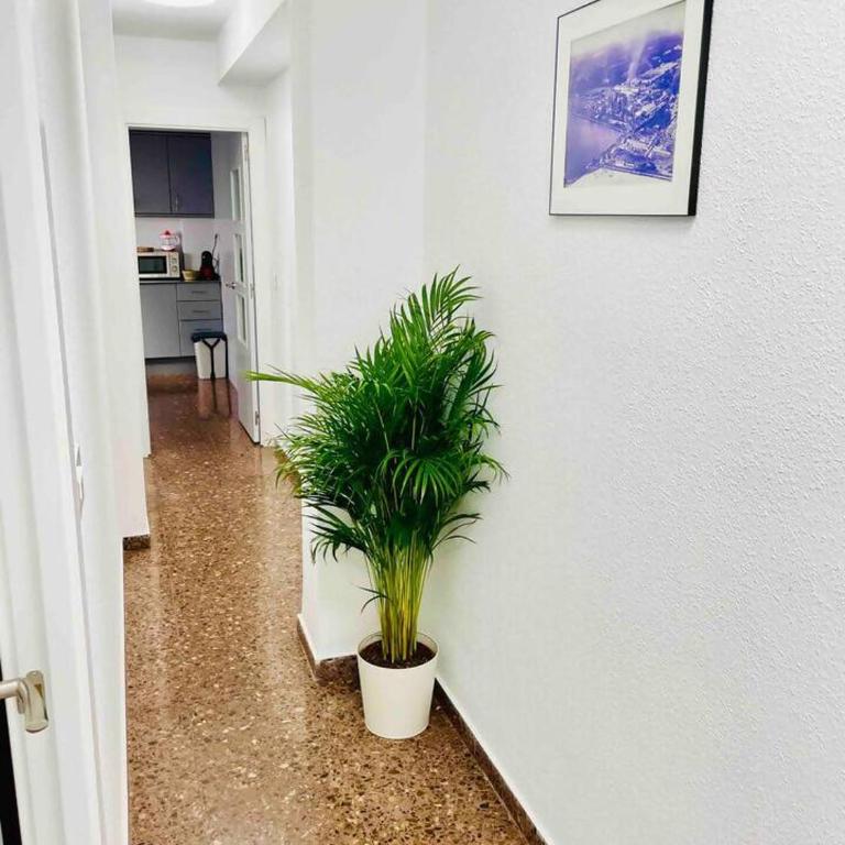 Citadella Apartment - Appartement 3 Chambres - 31