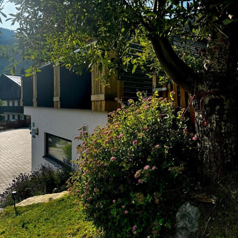 Appartement Sonnberg - Two-Bedroom Apartment with Shower - 46